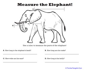 Measure Length: Elephant!