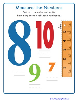 Measure Numbers 8 to 10