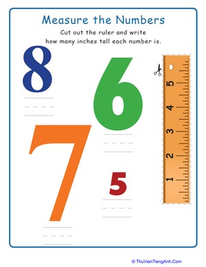 Measure Numbers 5 to 8