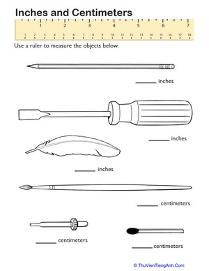 Measurement Mania: Centimeters & Inches