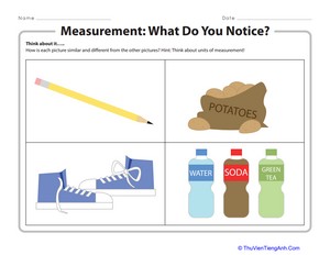 Measurement: What Do You Notice?