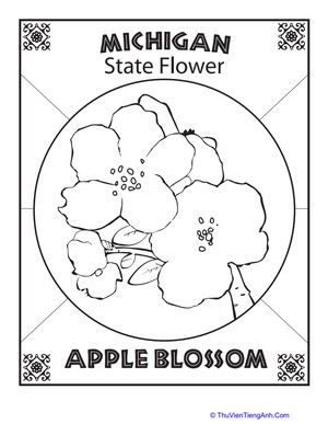 Michigan State Flower
