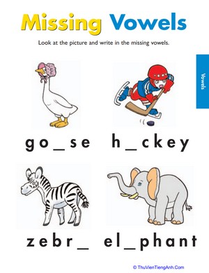 Missing Vowels: Practice Reading and Writing