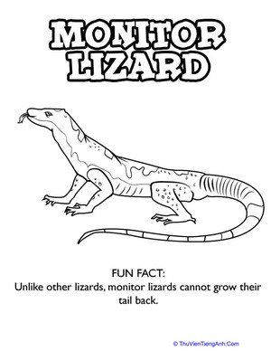 Monitor Lizard Coloring Page