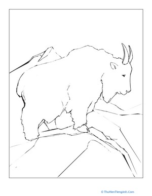 Mountain Goat Coloring Page