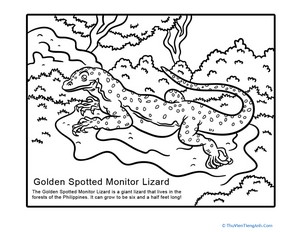 New Species: Monitor Lizard
