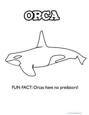 Oceanic Orca