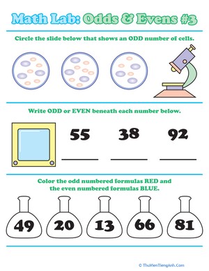 Math Lab: Odds & Evens #3