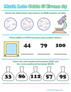 Math Lab: Odds & Evens #5