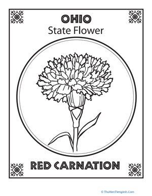 Ohio State Flower