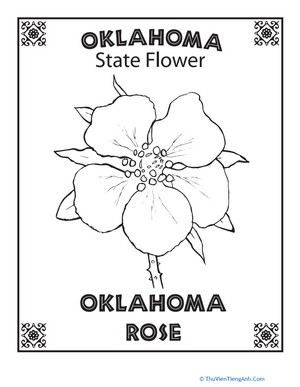 Oklahoma State Flower