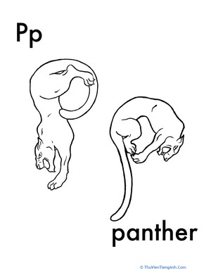 P for Panther