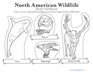 Pacific Northwest Animals