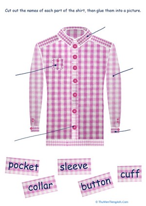Parts of Clothes: Shirt