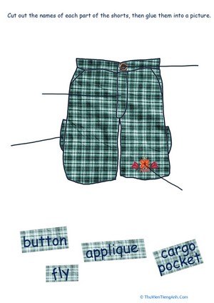 Parts of Clothes: Shorts