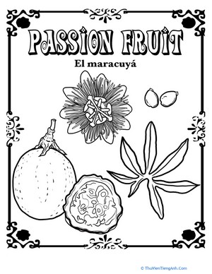 Passion Fruit in Spanish
