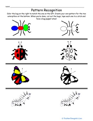 Patterns and Colors: Bugs!