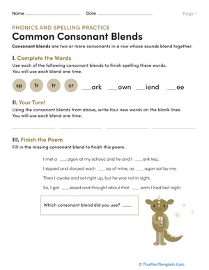 Phonics and Spelling Practice: Common Consonant Blends