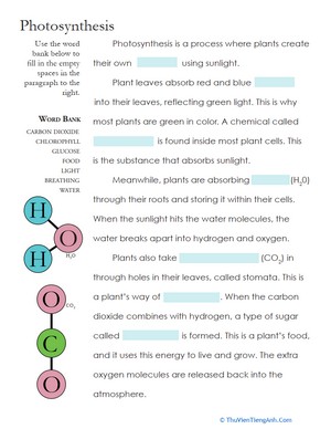 Photosynthesis Fill-in-the-Blank