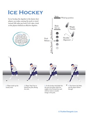 Physics of Ice Hockey