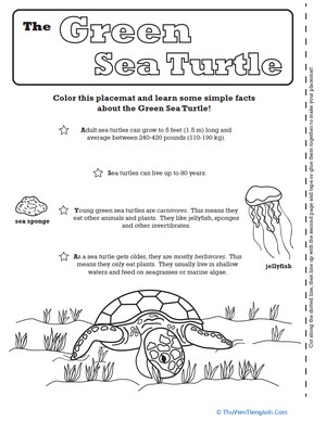 Sea Turtle Activity Placemat