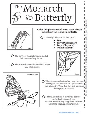 Butterfly Activity Placemat