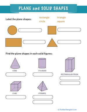 Plane and Solid Shapes