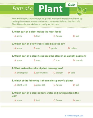 Plant Quiz