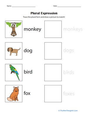 Plural Expression