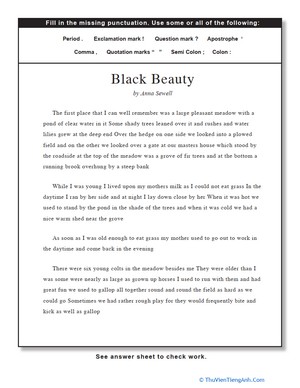 Punctuation: Black Beauty