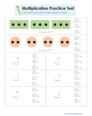 Practice Test: Multiplication