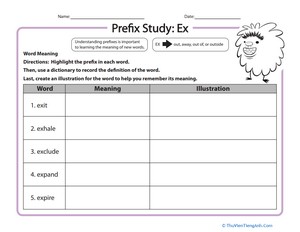 Prefix Study: Ex