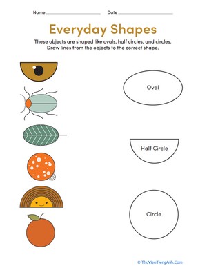 Preschool Math: Everyday Shapes #3
