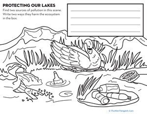 Protect Lakes