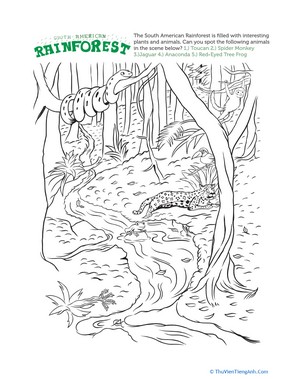 Rainforest Coloring Page