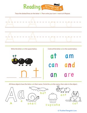 Beginning Reading: All About the Letter A