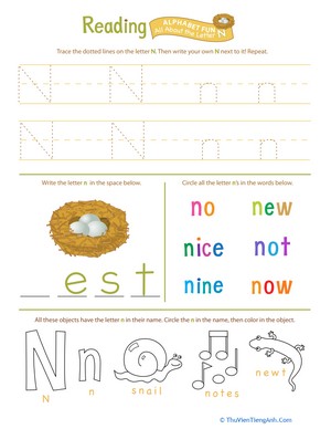 Get Ready for Reading: All About the Letter N