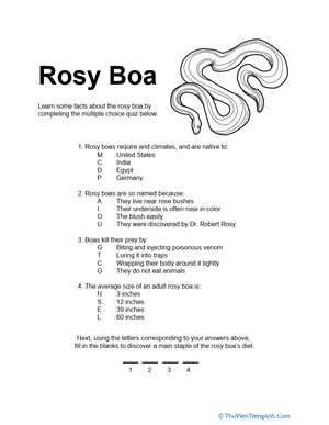 Rosy Boas Quiz