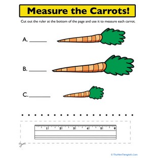 Ruler Measurements: Measure the Carrots