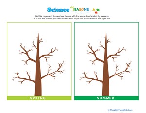 Science of the Seasons: How Do Trees Change?