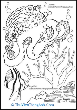 Oceanic Octopus Coloring Page