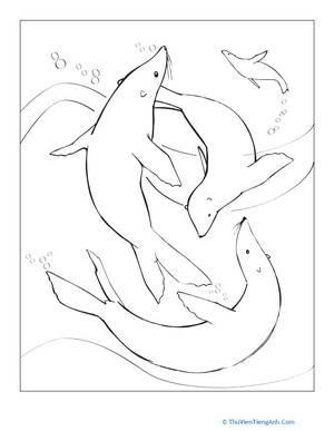 Sea Lions Coloring Page