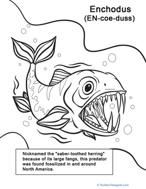 Color the Excited Enchodus