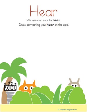 Our Five Senses: Hearing