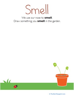 Our Five Senses: Smell