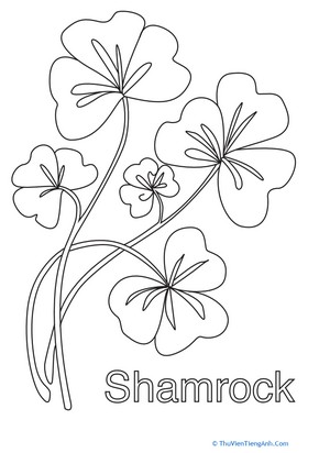 Shamrock Coloring Page