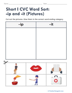 Short I CVC Word Sort: -ip and -it (Pictures)