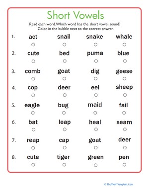 Short Vowels Quiz