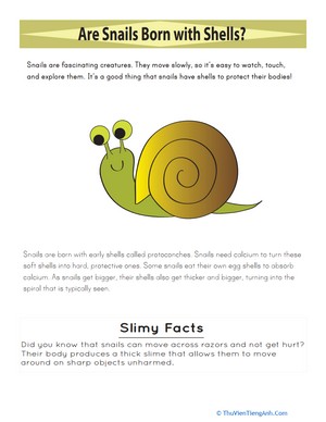 Snail Race: Measurements