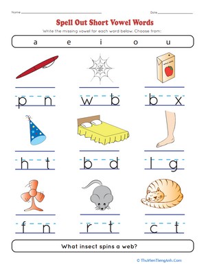 Spell Out Short Vowel Words